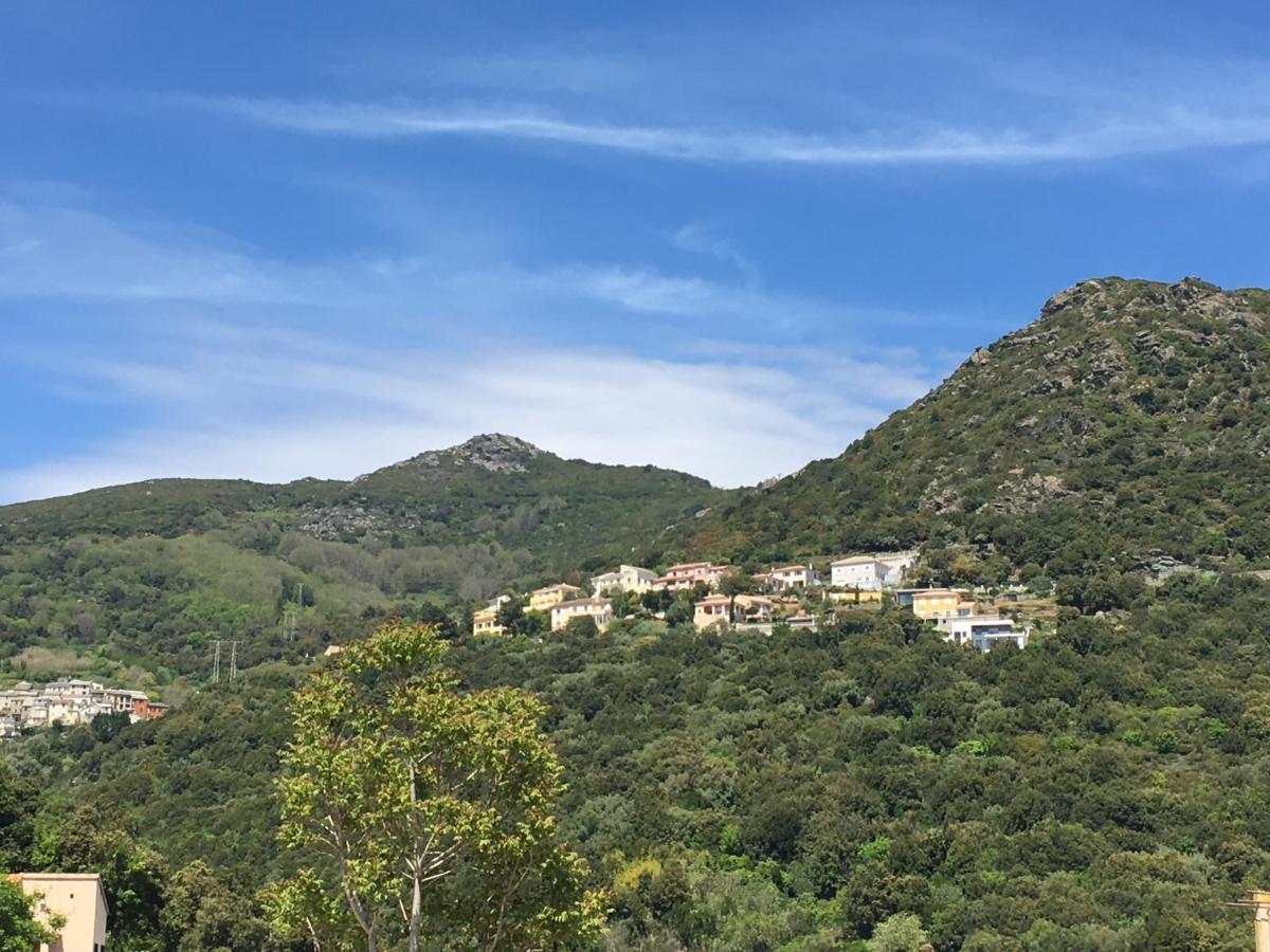 Charmant T2 Hauteurs De Bastia บาสเตีย ภายนอก รูปภาพ